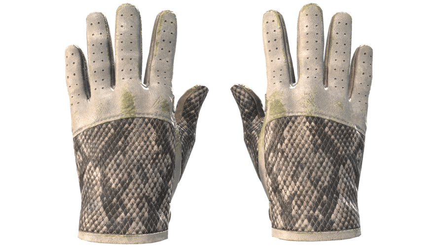 ★ Driver Gloves | King Snake (Well-Worn)