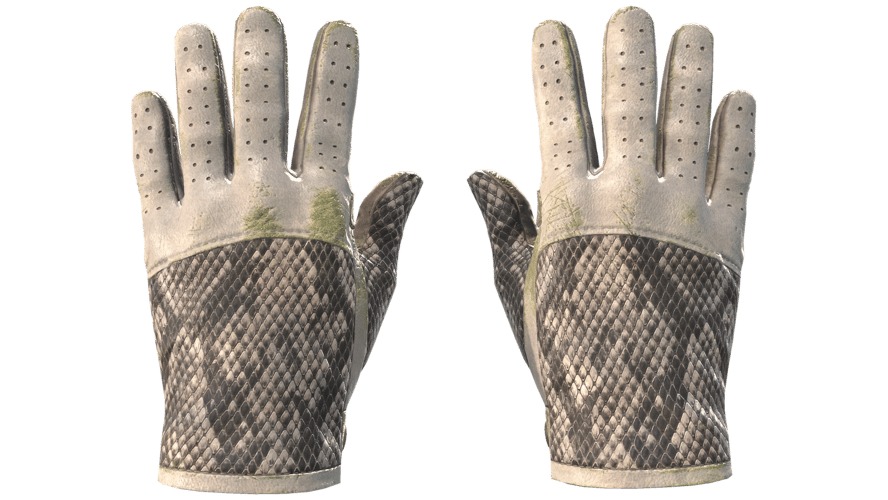 ★ Driver Gloves | King Snake (Well-Worn)