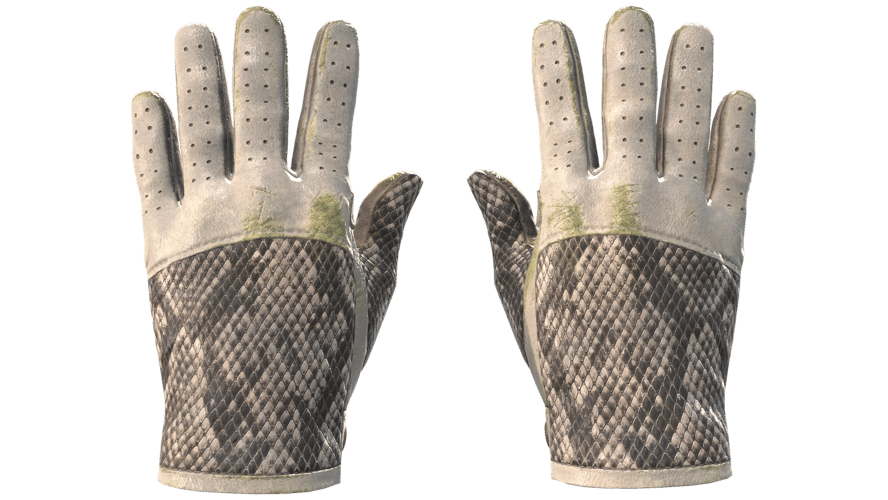 ★ Driver Gloves | King Snake (Well-Worn)