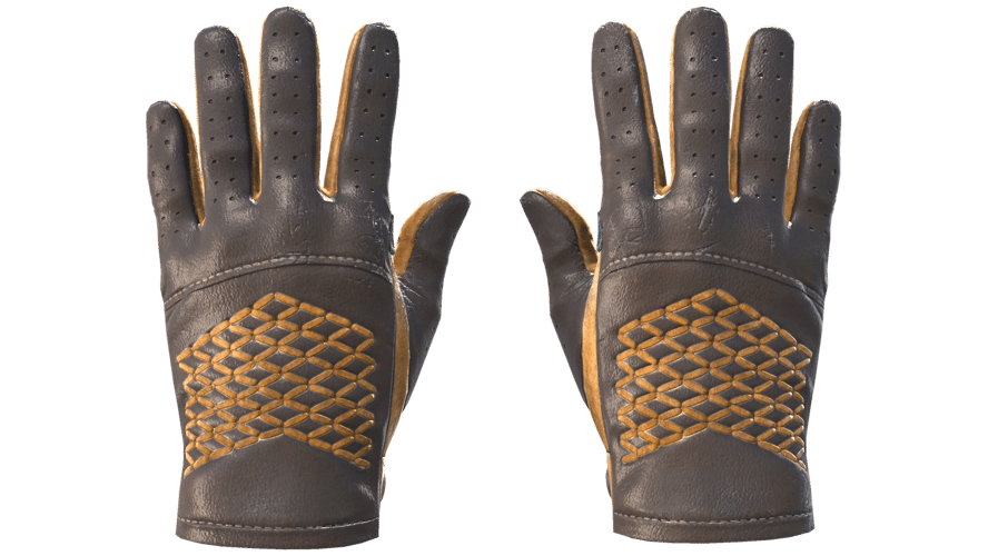 ★ Driver Gloves | Overtake (Field-Tested)