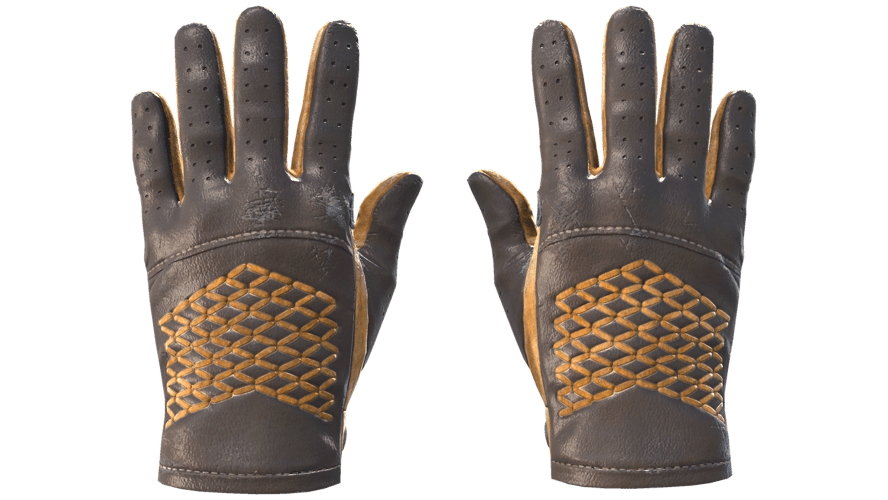 ★ Driver Gloves | Overtake (Field-Tested)