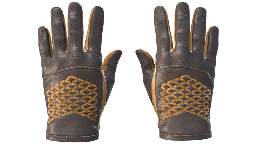 ★ Driver Gloves | Overtake (Field-Tested)