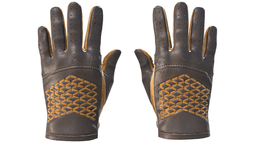★ Driver Gloves | Overtake (Field-Tested)