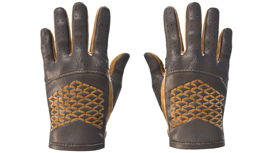 ★ Driver Gloves | Overtake (Field-Tested)