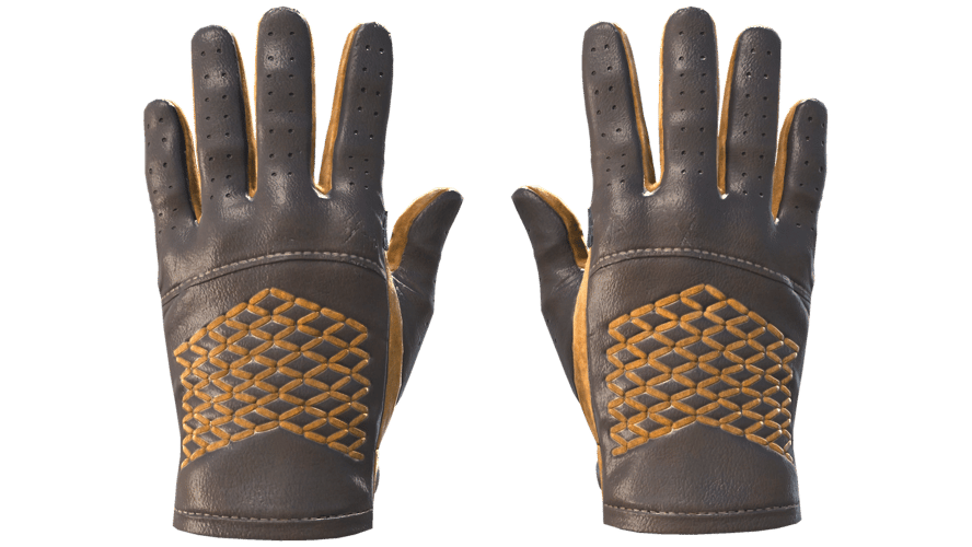 ★ Driver Gloves | Overtake (Minimal Wear)