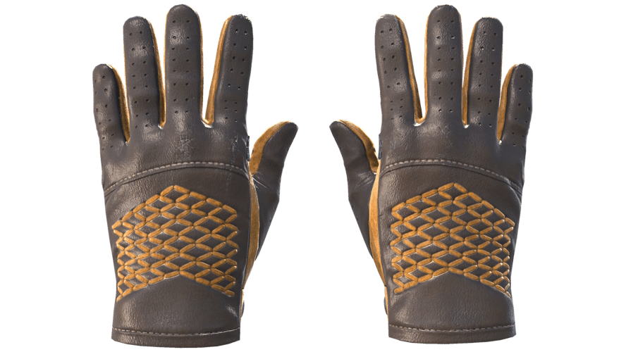 ★ Driver Gloves | Overtake (Minimal Wear)