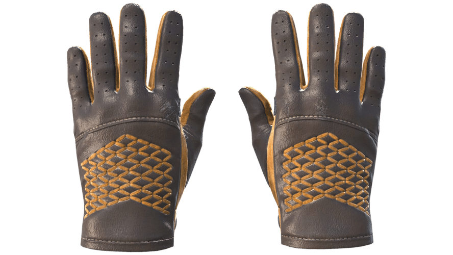 ★ Driver Gloves | Overtake (Minimal Wear)