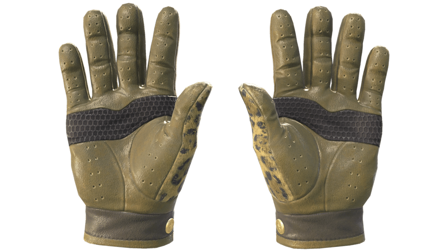 ★ Driver Gloves | Queen Jaguar (Minimal Wear)