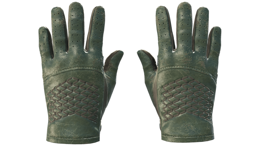 ★ Driver Gloves | Racing Green (Battle-Scarred)