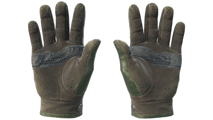 ★ Driver Gloves | Racing Green (Battle-Scarred)