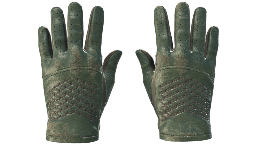 ★ Driver Gloves | Racing Green (Battle-Scarred)