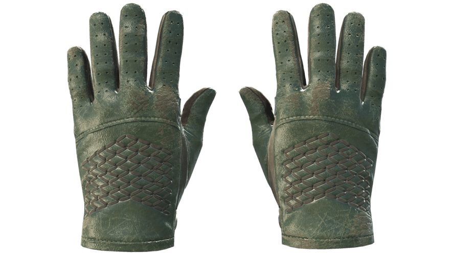 ★ Driver Gloves | Racing Green (Battle-Scarred)
