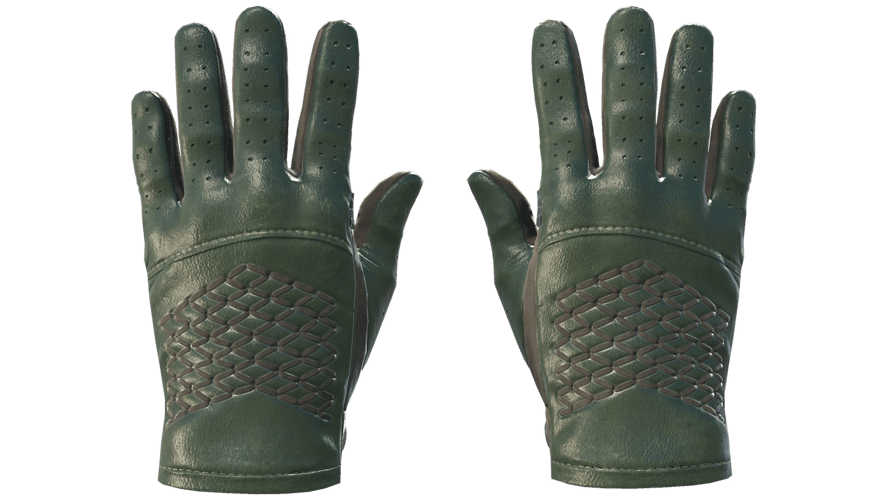★ Driver Gloves | Racing Green (Factory New)
