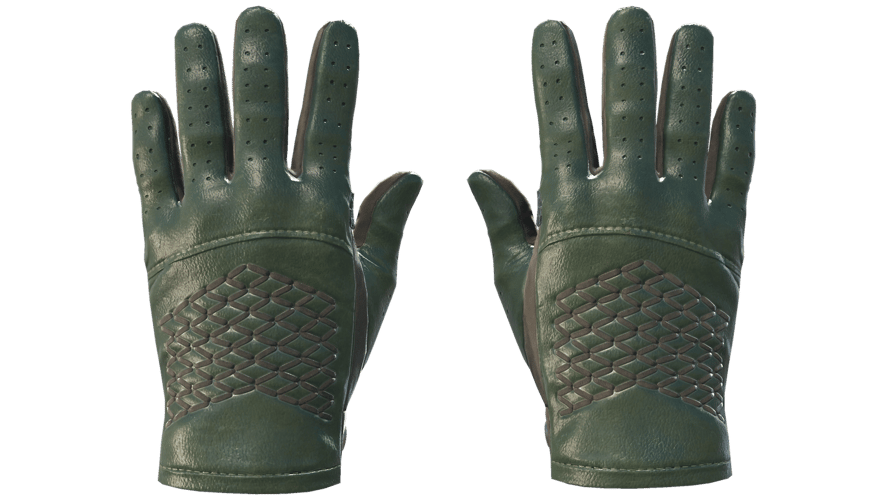 ★ Driver Gloves | Racing Green (Factory New)