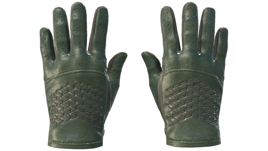 ★ Driver Gloves | Racing Green (Field-Tested)