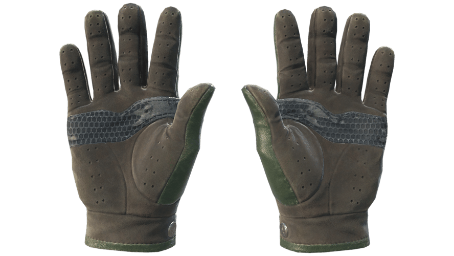 ★ Driver Gloves | Racing Green (Field-Tested)