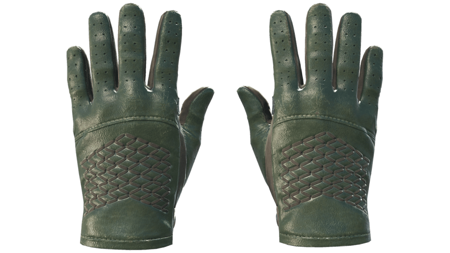 ★ Driver Gloves | Racing Green (Field-Tested)