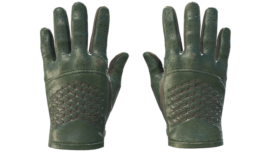 ★ Driver Gloves | Racing Green (Field-Tested)