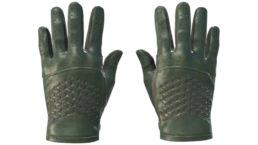 ★ Driver Gloves | Racing Green (Minimal Wear)
