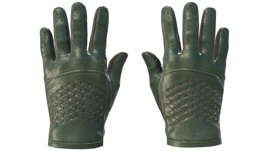★ Driver Gloves | Racing Green (Minimal Wear)