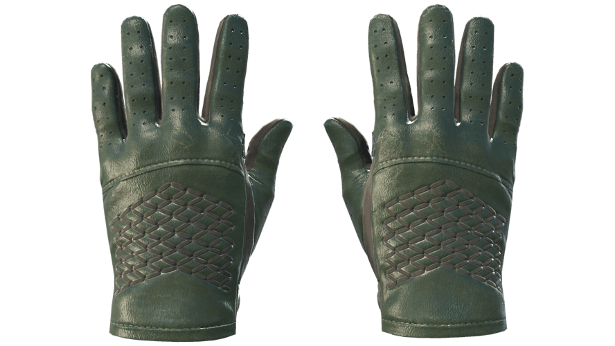 ★ Driver Gloves | Racing Green (Minimal Wear)