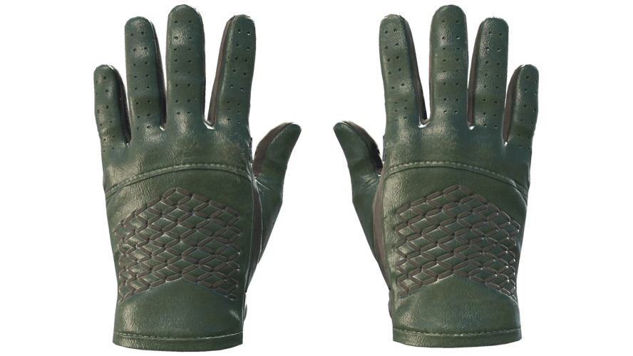 ★ Driver Gloves | Racing Green (Minimal Wear)
