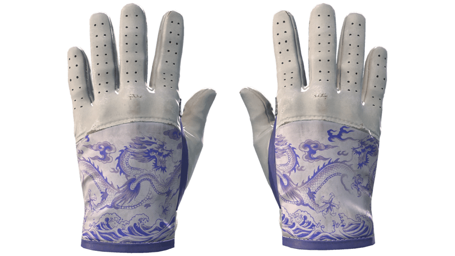 ★ Driver Gloves | Wave Chaser (Minimal Wear)