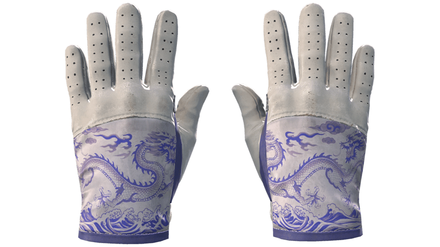 ★ Driver Gloves | Wave Chaser (Minimal Wear)