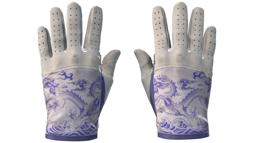 ★ Driver Gloves | Wave Chaser (Minimal Wear)