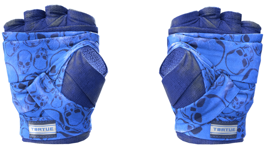 ★ Hand Wraps | Cobalt Skulls (Well-Worn)