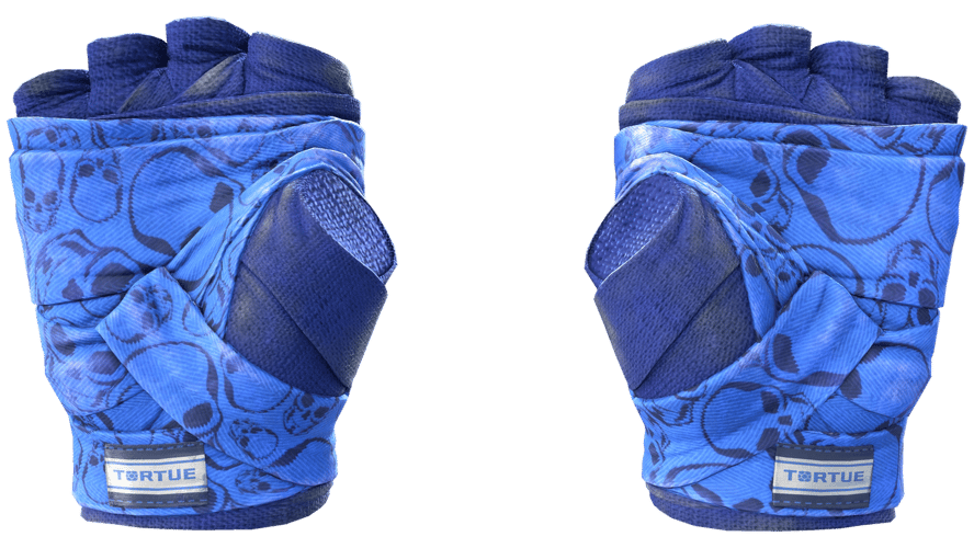 ★ Hand Wraps | Cobalt Skulls (Well-Worn)