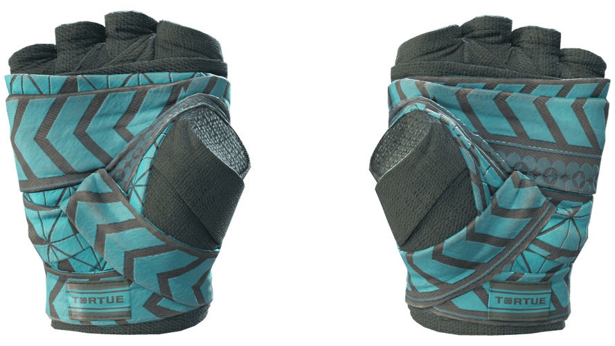 ★ Hand Wraps | Overprint (Field-Tested)