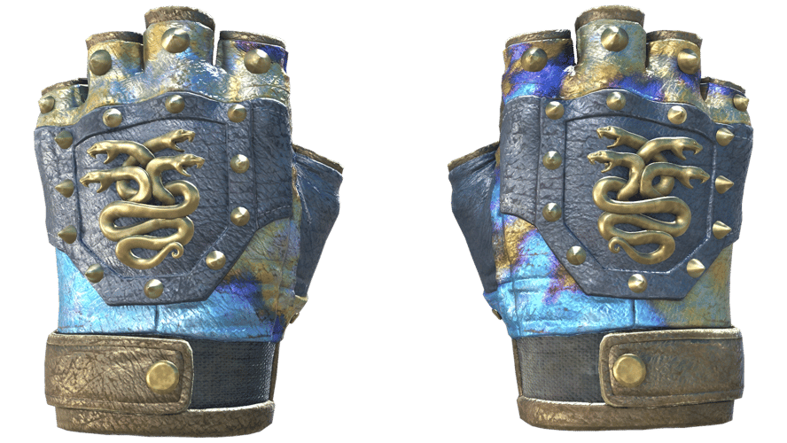 ★ Hydra Gloves | Case Hardened (Field-Tested)