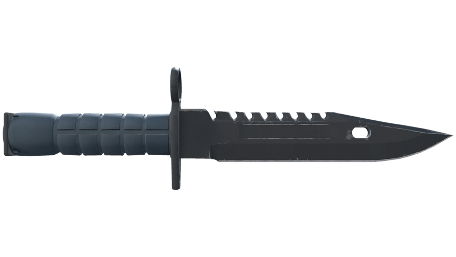 ★ M9 Bayonet | Night (Minimal Wear)