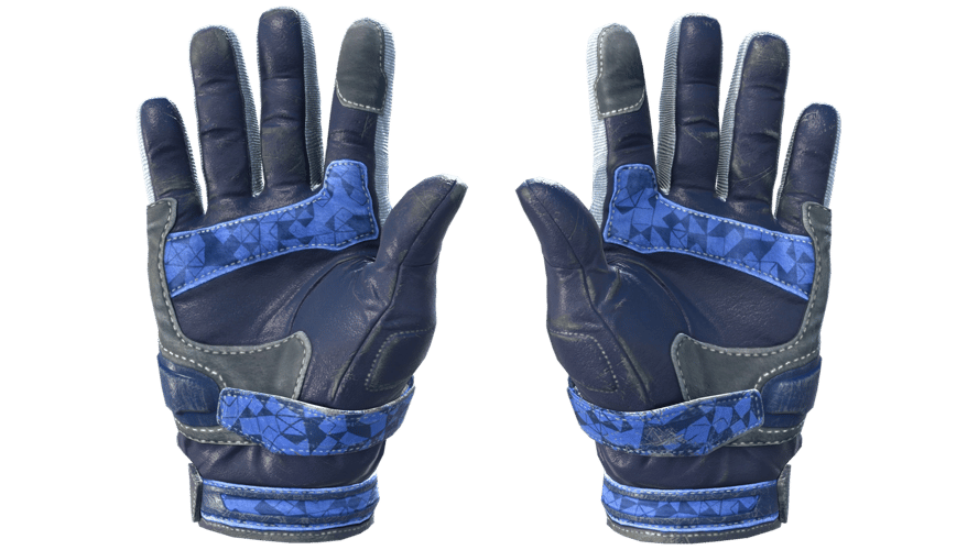 ★ Moto Gloves | Polygon (Field-Tested)