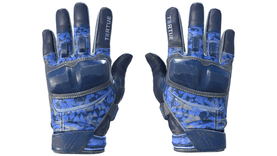 ★ Moto Gloves | Polygon (Field-Tested)
