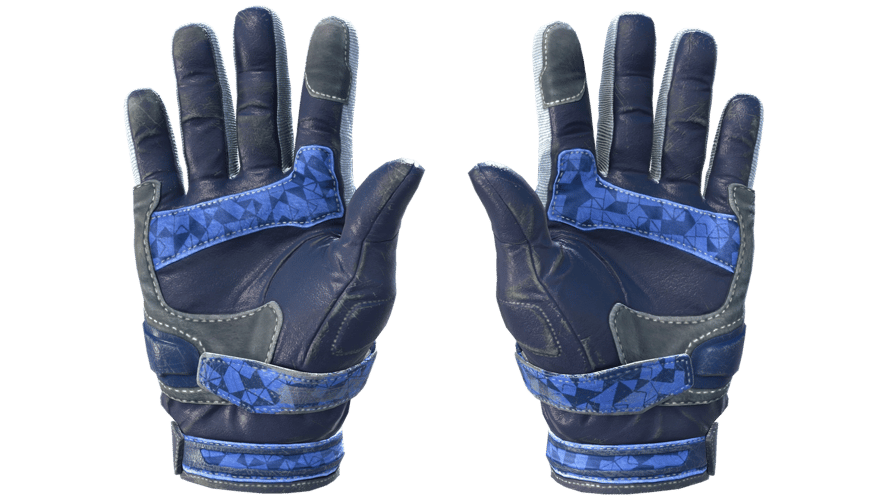 ★ Moto Gloves | Polygon (Field-Tested)