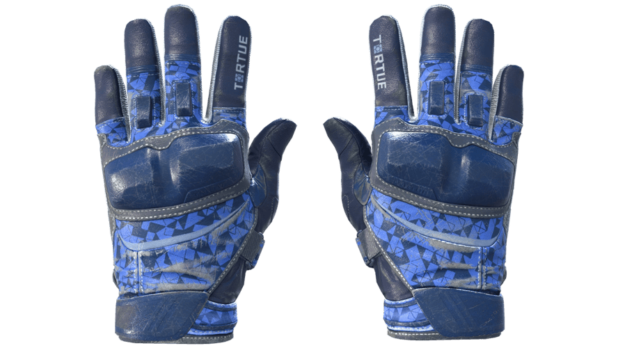 ★ Moto Gloves | Polygon (Field-Tested)