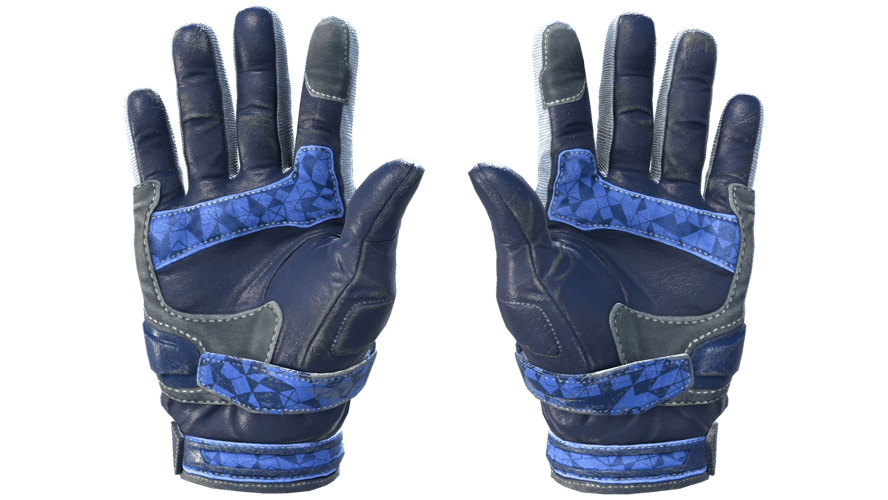 ★ Moto Gloves | Polygon (Field-Tested)