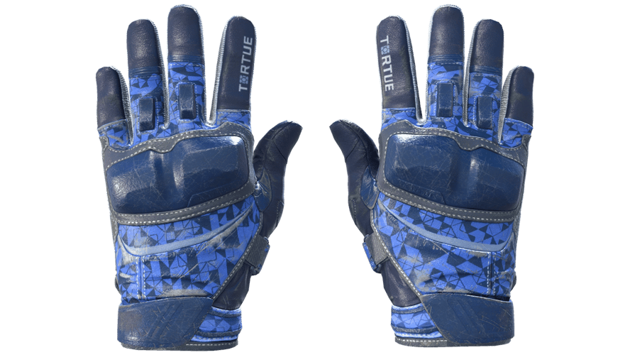 ★ Moto Gloves | Polygon (Field-Tested)