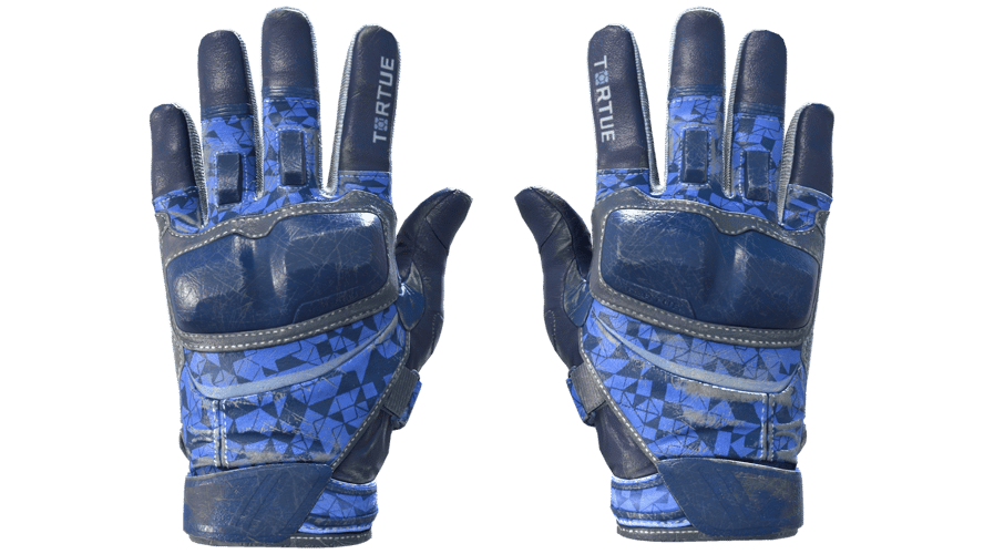 ★ Moto Gloves | Polygon (Field-Tested)