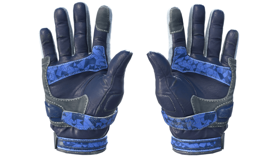 ★ Moto Gloves | Polygon (Field-Tested)