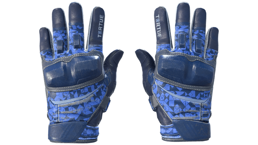 ★ Moto Gloves | Polygon (Field-Tested)