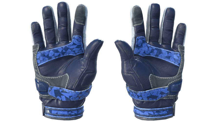 ★ Moto Gloves | Polygon (Field-Tested)