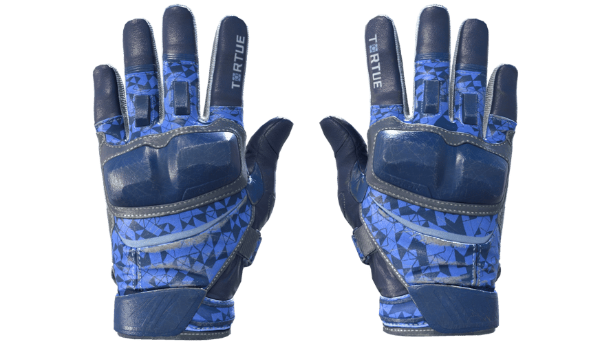 ★ Moto Gloves | Polygon (Field-Tested)