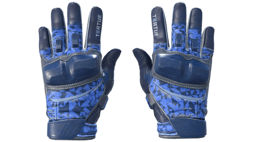 ★ Moto Gloves | Polygon (Field-Tested)