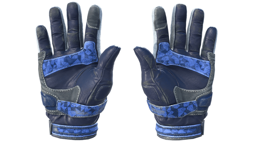 ★ Moto Gloves | Polygon (Field-Tested)