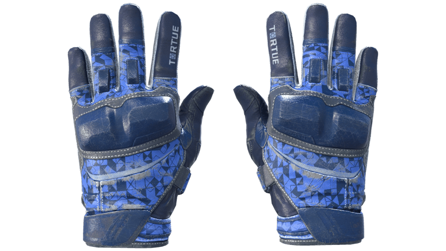 ★ Moto Gloves | Polygon (Field-Tested)