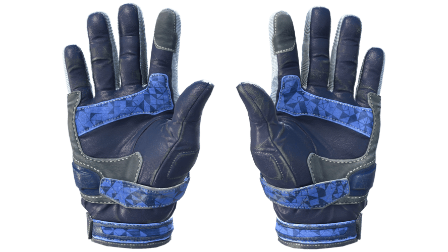 ★ Moto Gloves | Polygon (Field-Tested)