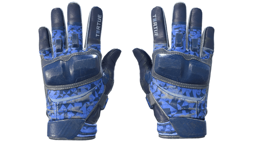 ★ Moto Gloves | Polygon (Field-Tested)
